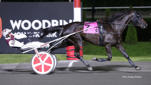 Elitloppshäst vann i ny regi