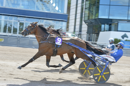 En magisk uppvisning