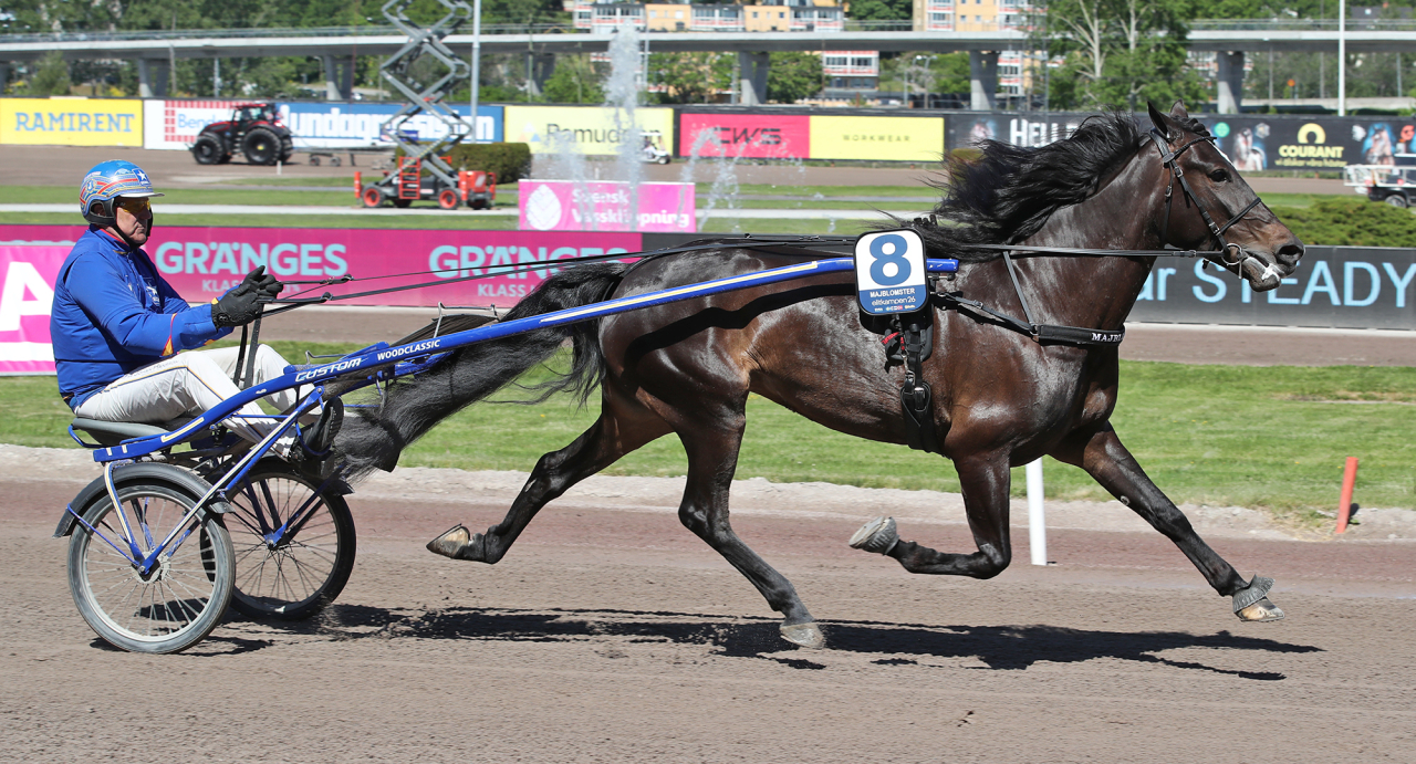 Majblomster tillsammans med sin tränare Jan-Olov Persson. Foto Mathias Hedlund/Sulkysport