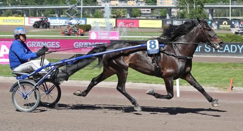 Upp till bevis, Majblomster