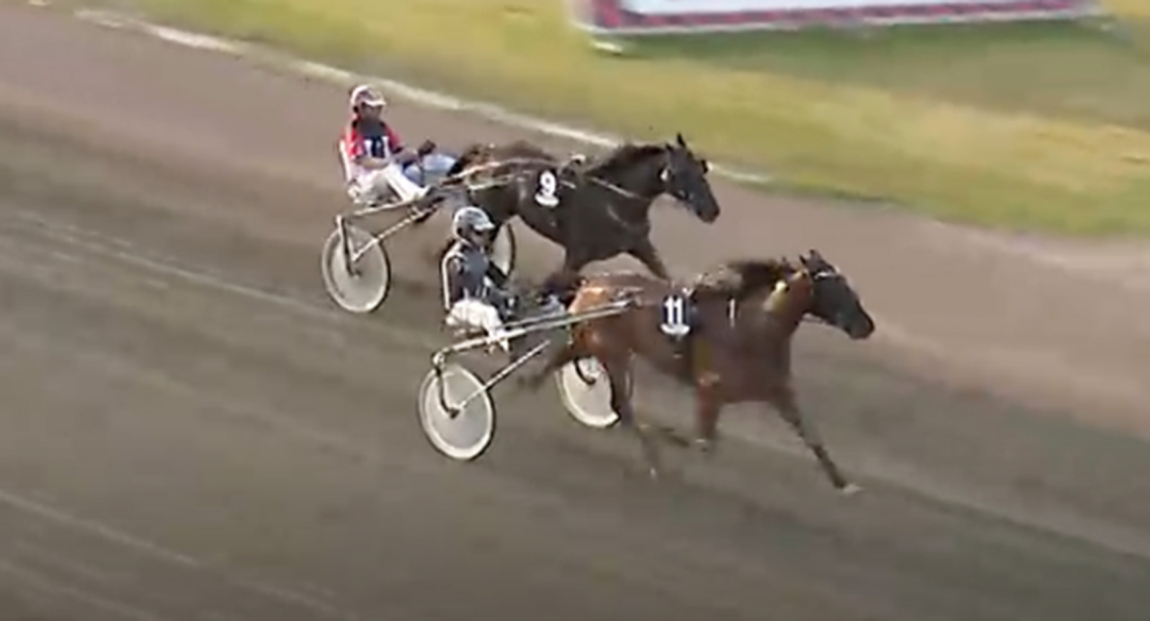 Jonathan Barduns fyraåriga sto Metarie imponerade på Färjestad igår. Skärmbild ATG Live