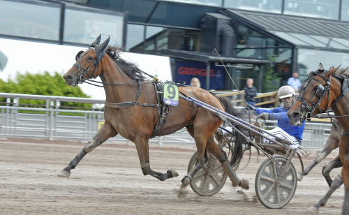 Med sting i spurten