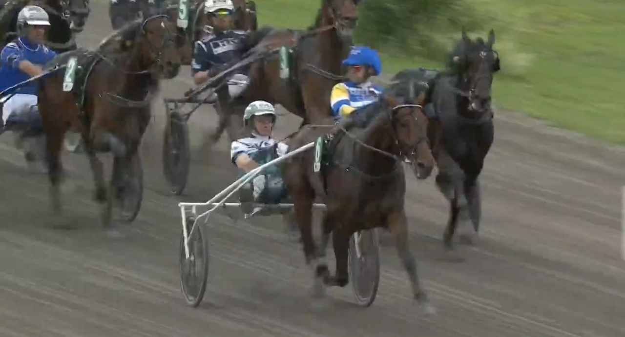 Daniel Redén-tränade Perfect Chest och Örjan Kihlström imponerade stort i Breeders Crown-försöket i Rättvik. Skärmbild ATG Live