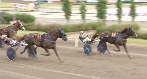 Elitkampsetta vann igen