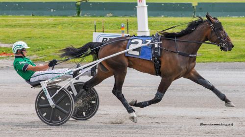 Dubbel till Svanstedt