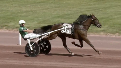 All Time Trot ensam på plan