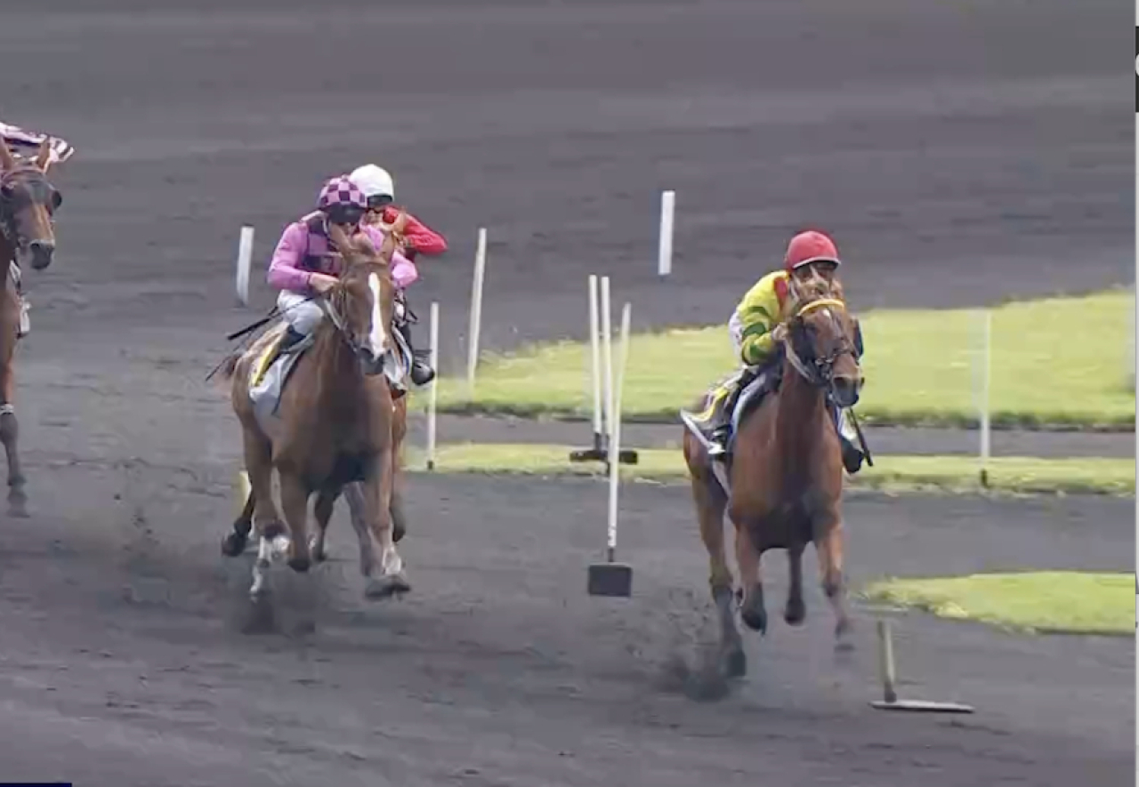 Impala de Val går in i klar ledning på Vincennes upplopp och vinner i ohotad stil.