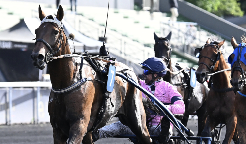 Ibiki de Houelle imponerade