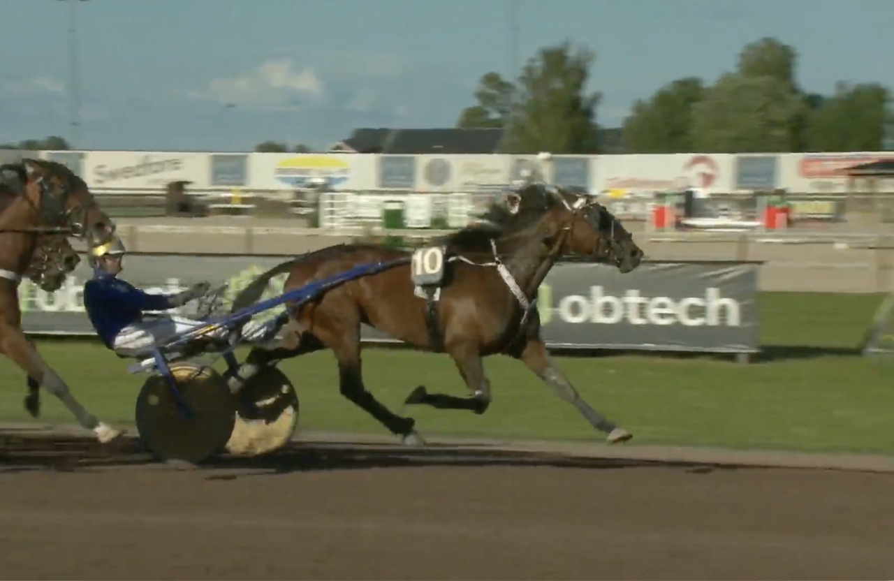 Princess Diamond och Björn Goop håller undan till seger och ute i banan spurtar Kobra Brick till andraplatsen efter galopp.