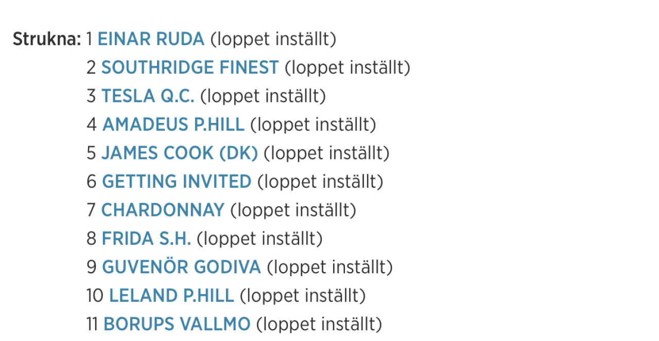 Danneros lopp ställdes in på grund av olycka.