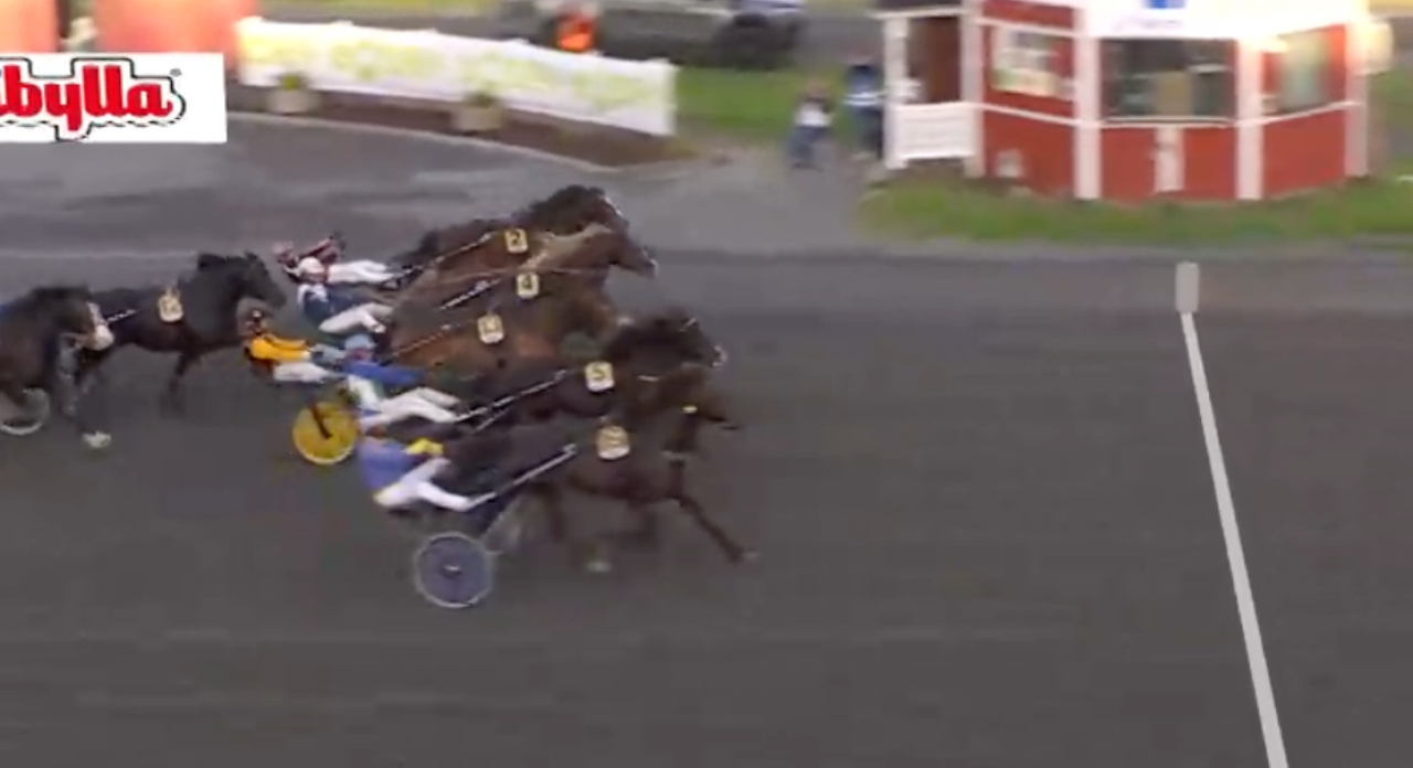Zargo hann fram till vinst i Boden.
Skärmbild ATG-live