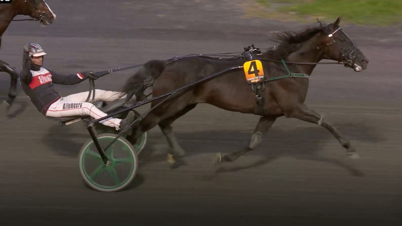 Segergest när Castor The Star vinner Norrbottens Stora Pris för Mika Forss. Skärmbild ATG-live