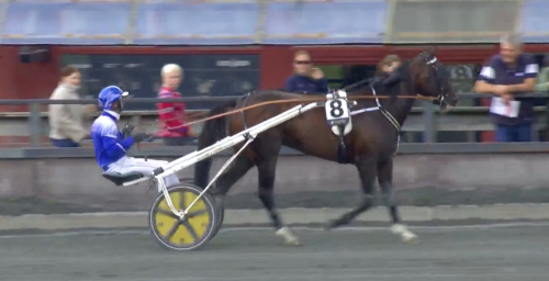 Skräll i stayerloppet