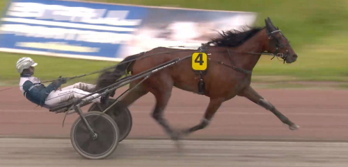 E3-kval: Djuses flygmaskin
