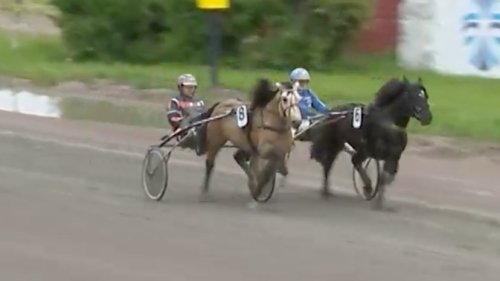 Vilken debut!