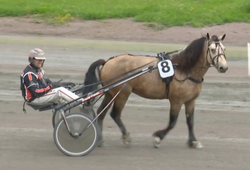 Vilken debut!