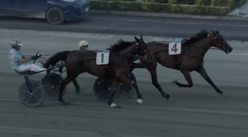 Spetsvinster i Breeders Course