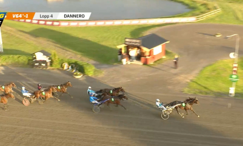 Bengan på topp på Dannero