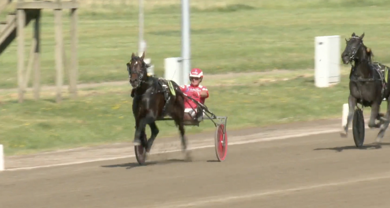 Peter Untersteiner vinner Jydsk 4-årings Grand Prix med Lazy Dust.