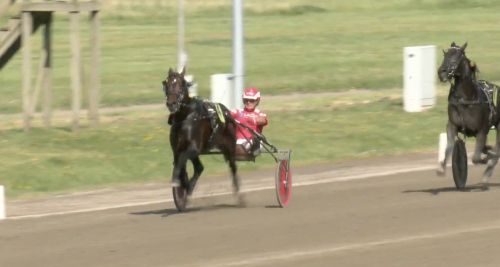 Banrekord av Lazy Dust