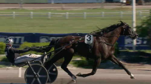 Starkt ess inledde i Kalmar