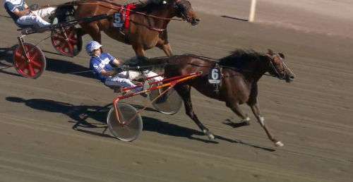 Äntligen S.G.Empress