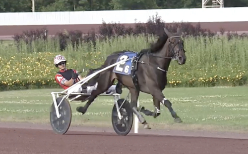 Vilket lopp, Whatarace!
