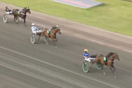 Vann Testet med galopp