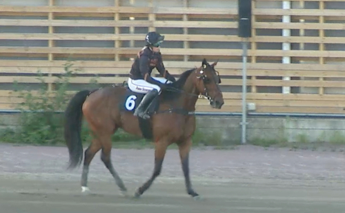 Leo och Steady Victory bäst igen