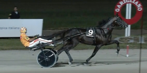 Dubbelt Gocciadoro och Maharajah i topp