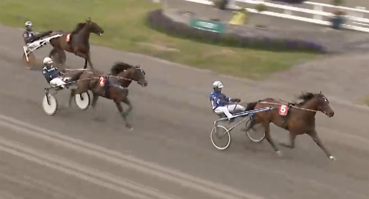 Amatören Anders Ahlnebys fyraåriga sto Solkattens Corsa har inlett karriären på finfint sätt. Skärmbild ATG Live