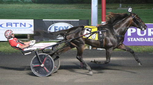 Super Chapter vann Cashman