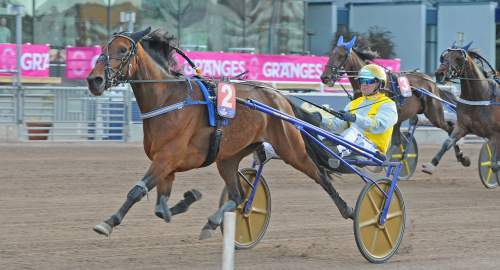 E3-vinnare i auktionslopp
