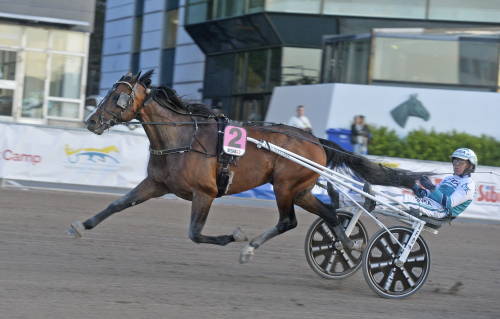Wise Guy krigade till seger