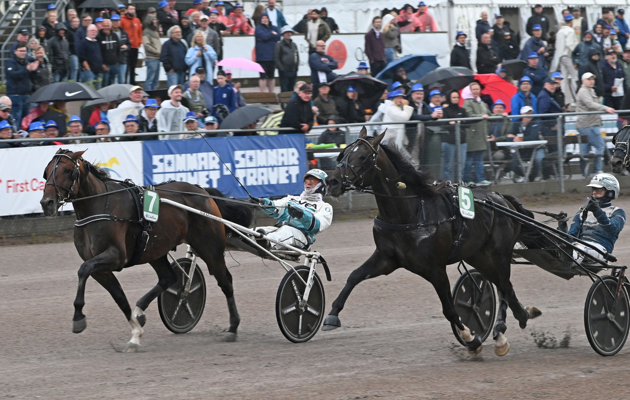 Variegated imponerade i det första försöket till Sprintermästaren.
Foto: Lars B Persson