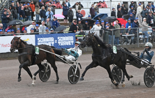 Mäktig Variegated inledde i Halmstad