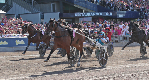 ”Ännu piggare efter Elitloppet”