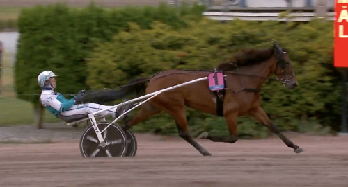 Allegiant – okörd på 1.08,0!