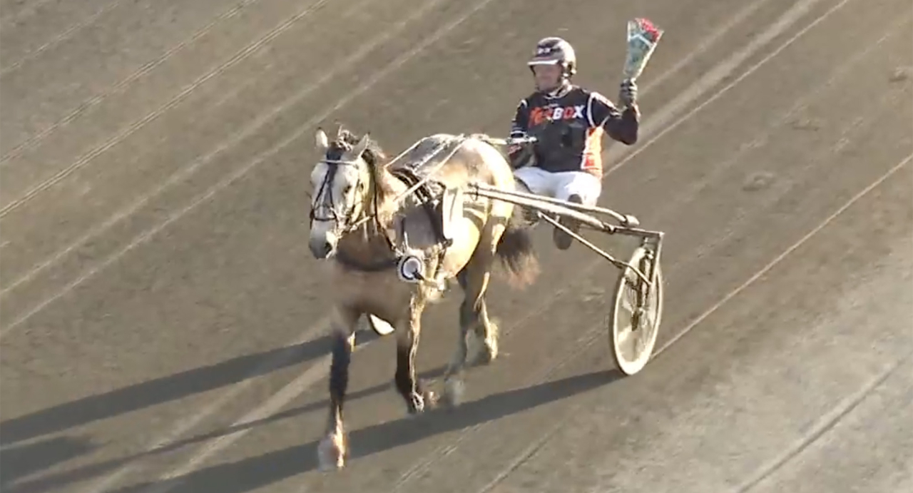 Bäcklös Borken och Oskar Kylin Blom blev ende svensktränade vinnaren i Kriteriekvalen. Skärmbild ATG Live