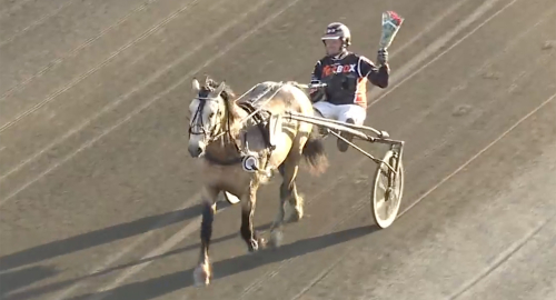 Lottat: Här är kallblodsfinalerna