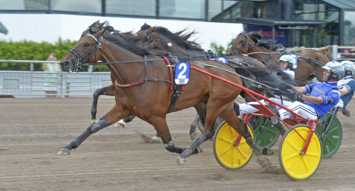STL-klass en torsdagkväll