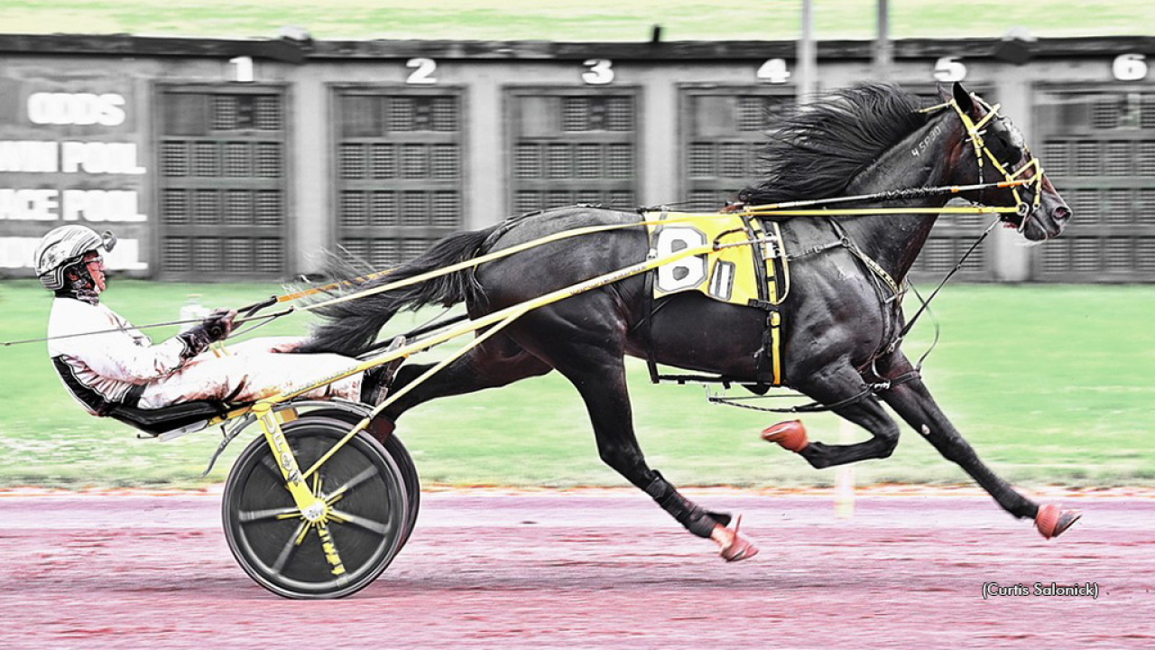 Brian Spears är återigen en vinnare på tävlingsbanan. Igår gjorde han comeback med seger bakom Celebrity Hunter. Foto: Curtis Salonick