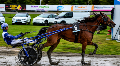 Wäjerstens fyraåring tuffast