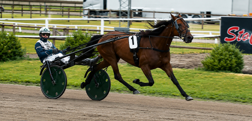 Jennifer Sisu från spets