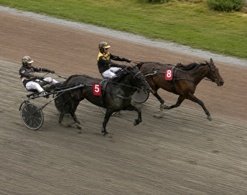 Vinst varannan gång