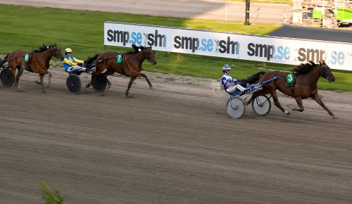 Breeders Crown: Lätt för Wäjerstens sto