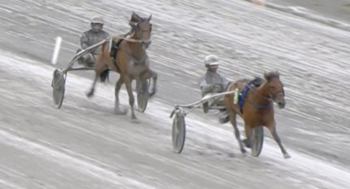 Norska travsagan fortsätter