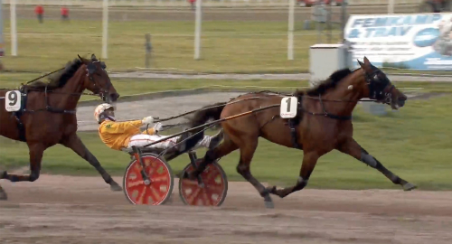 Derbyvinnaren etta i Sverige