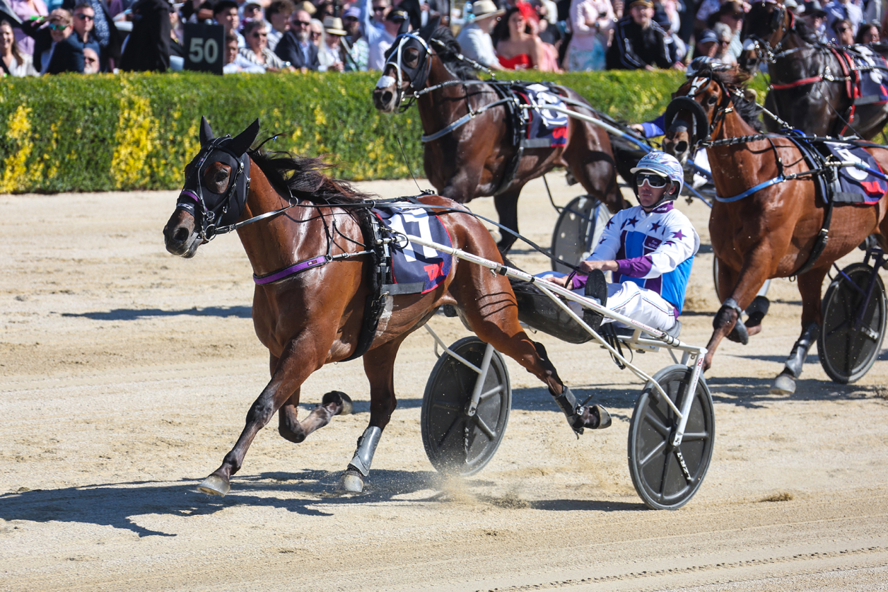 Gus vann Grupp I-lopp i Australien idag. Foto: Harness Racing Victoria