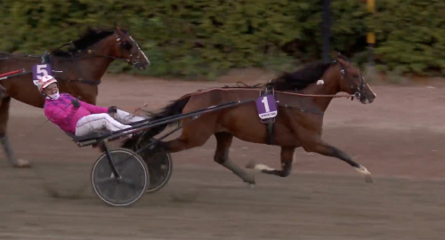 Italienskt igen i Breeders Course